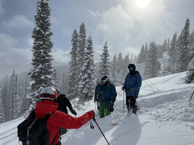 Skiers stopped on a snowy slope below frosted evergreens