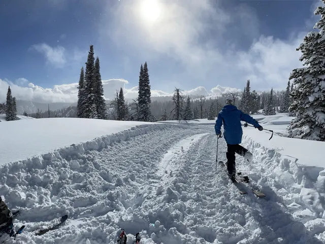 A skier walking along the packed snowcat road in the sun