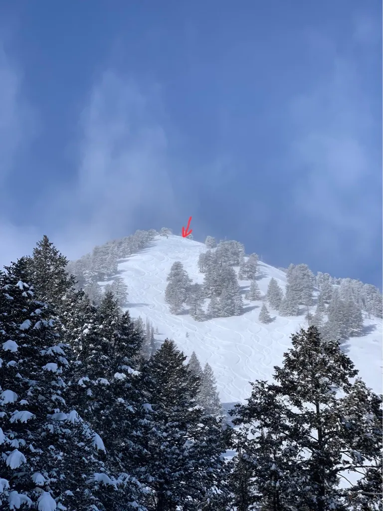 Snowy ridge above the trees with a red marker near the summit